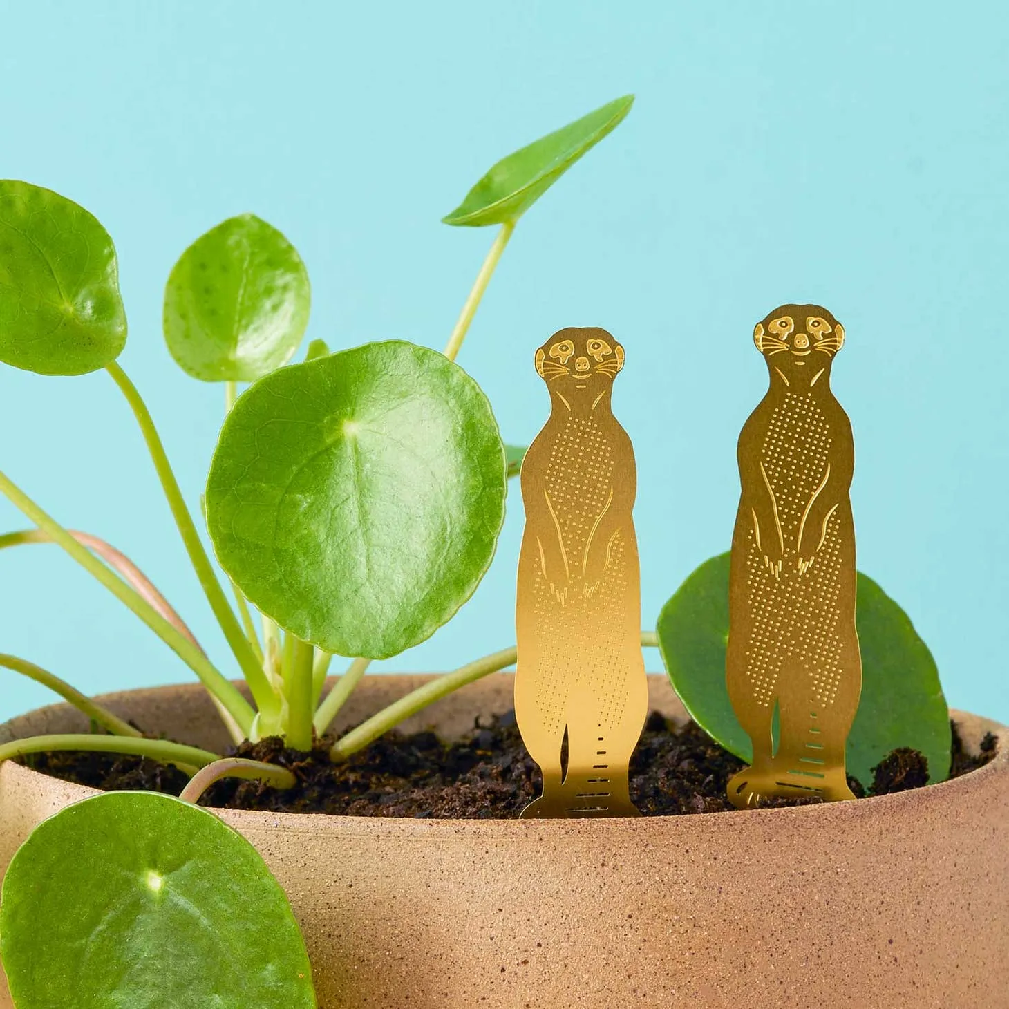 Brass Plant Accessory: Meerkat