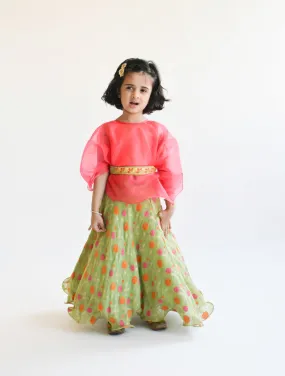 Pre Order: Green Georgette Lehenga with Pink Top and Organza Cape